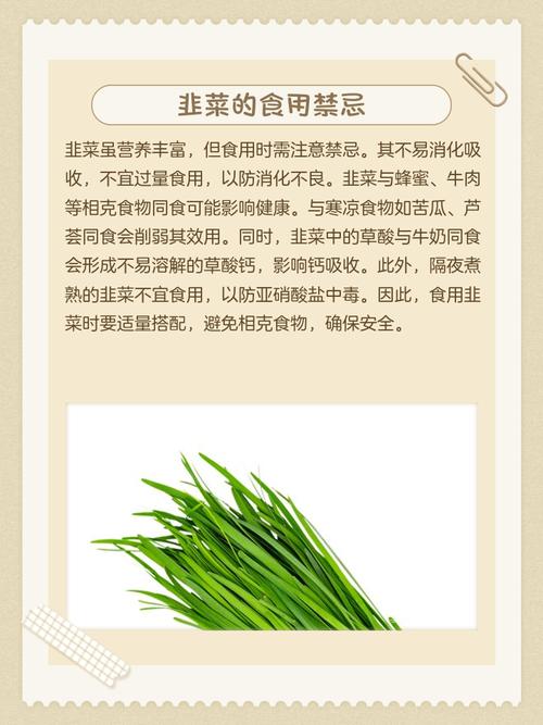 脑梗病人可以吃韭菜吗