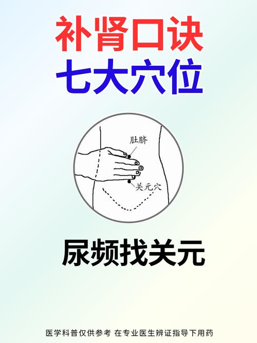 穴位补肾 腰好39