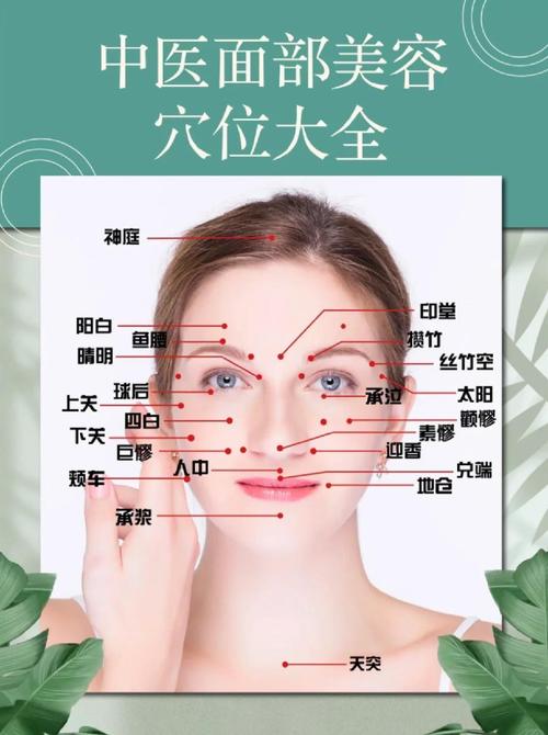 针灸治疗脸部穴位图