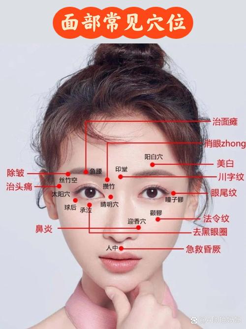 针灸治疗脸部穴位图