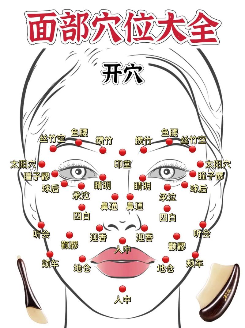 针灸治疗脸部穴位图