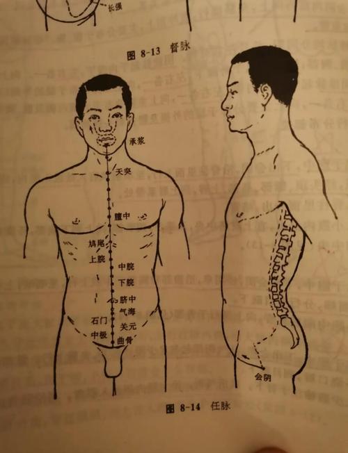 任脉从那个穴位开始