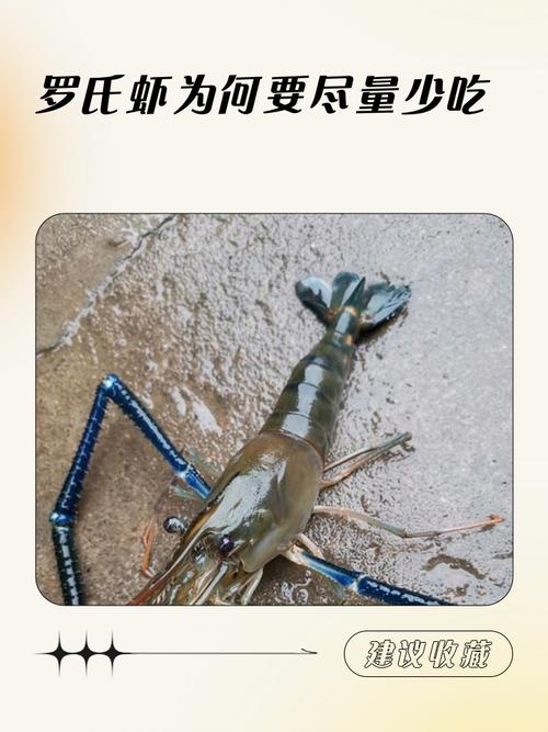 脑梗康复期能吃海虾吗