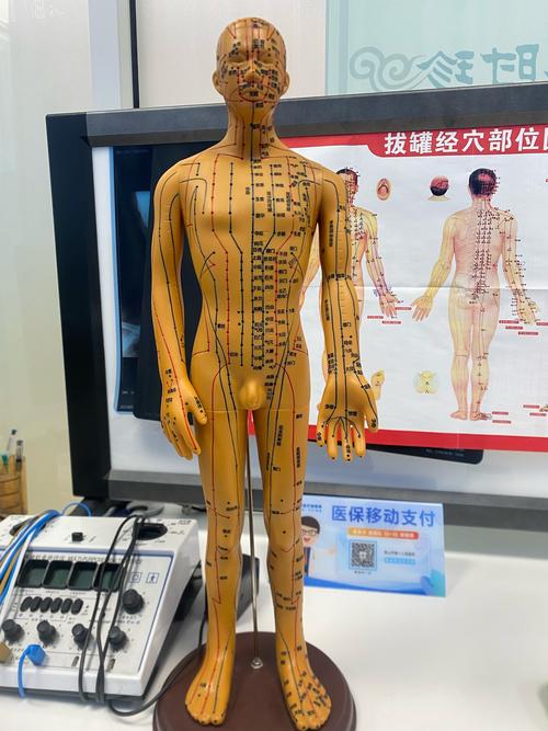 保健按摩人体穴位图