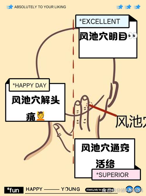 风池穴位图功效作用