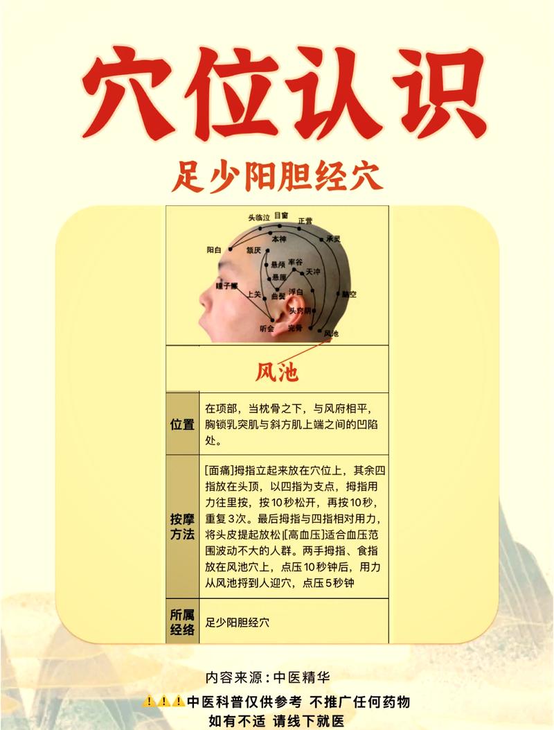 风池穴位图功效作用