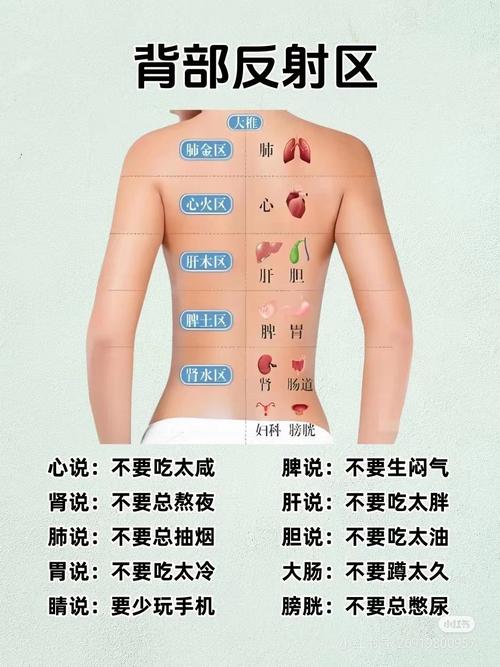 后背痛要点什么穴位