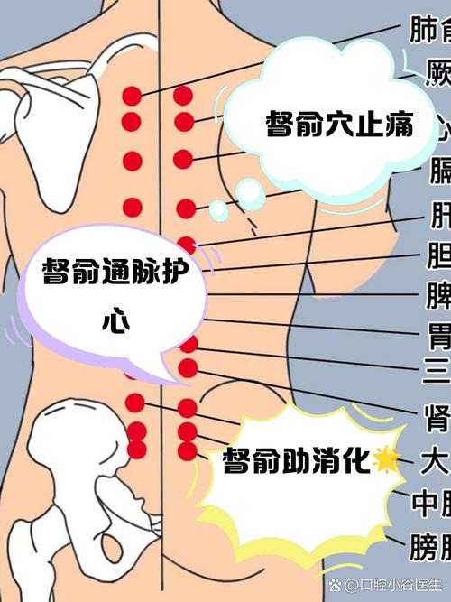 后背痛要点什么穴位