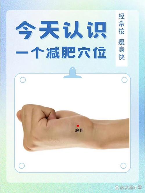 穴位减肥广东总代理