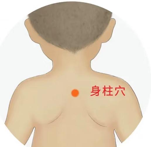 按什么穴位容易长高