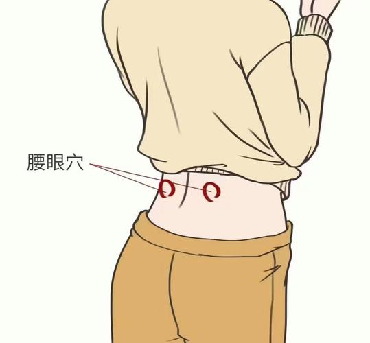 缓解腰酸的穴位位置