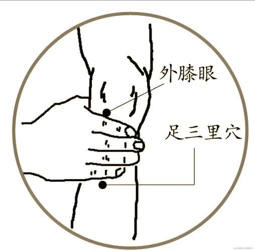 肾部有那些重要穴位