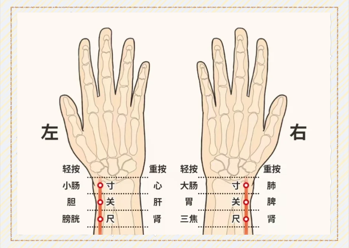 尺神经损伤按摩穴位