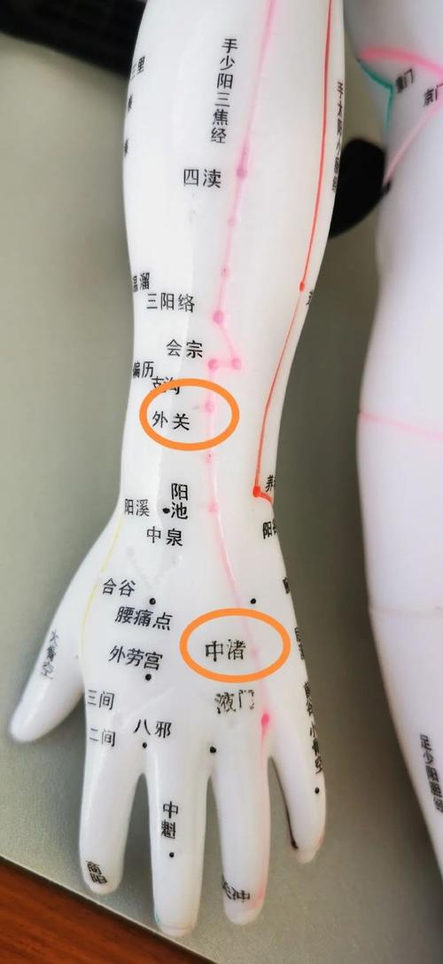 尺神经损伤按摩穴位