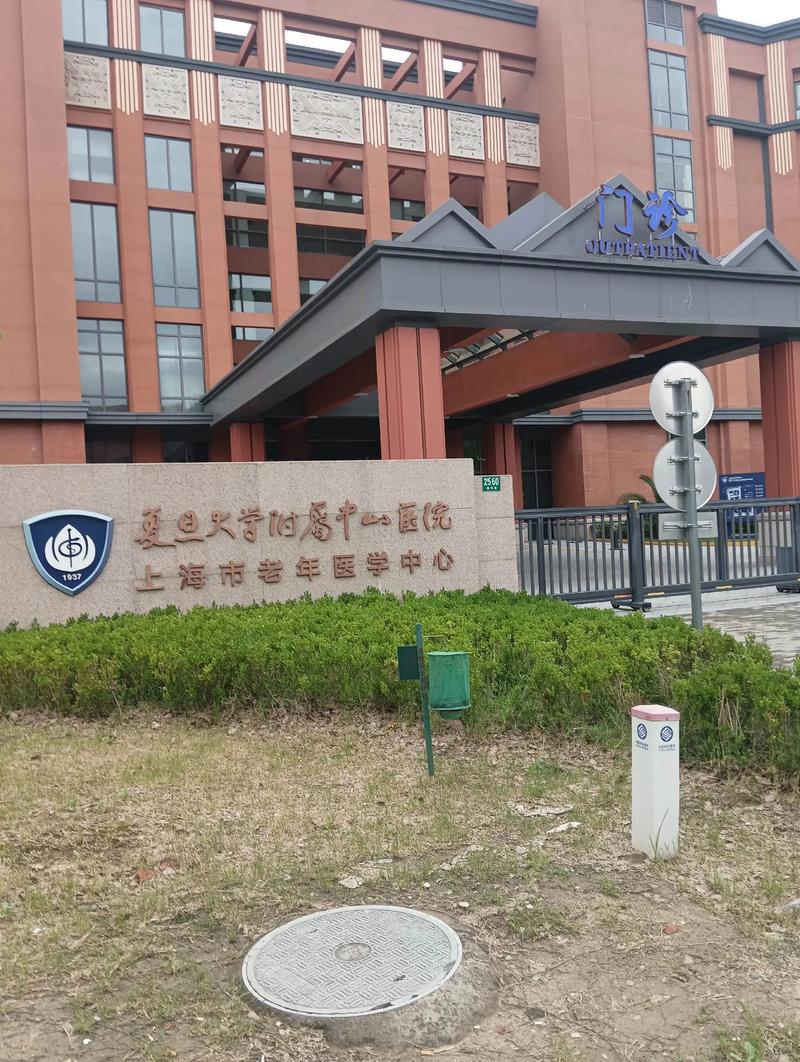 上海治疗脑梗好的医院