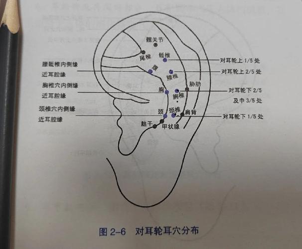 耳膜发炎按什么穴位