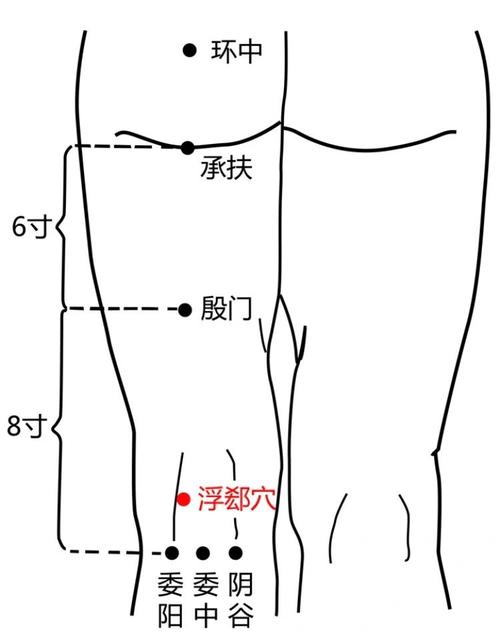 大便不下按什么穴位