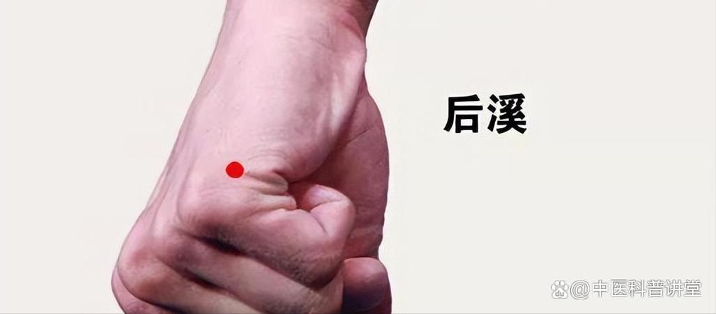 穴位 后溪等的位置