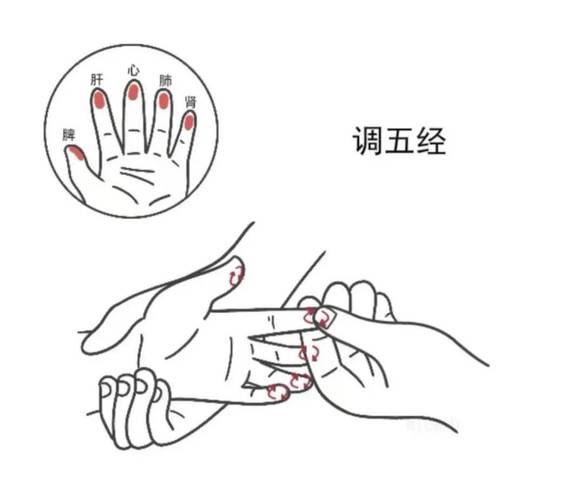 中医小儿推拿穴位图