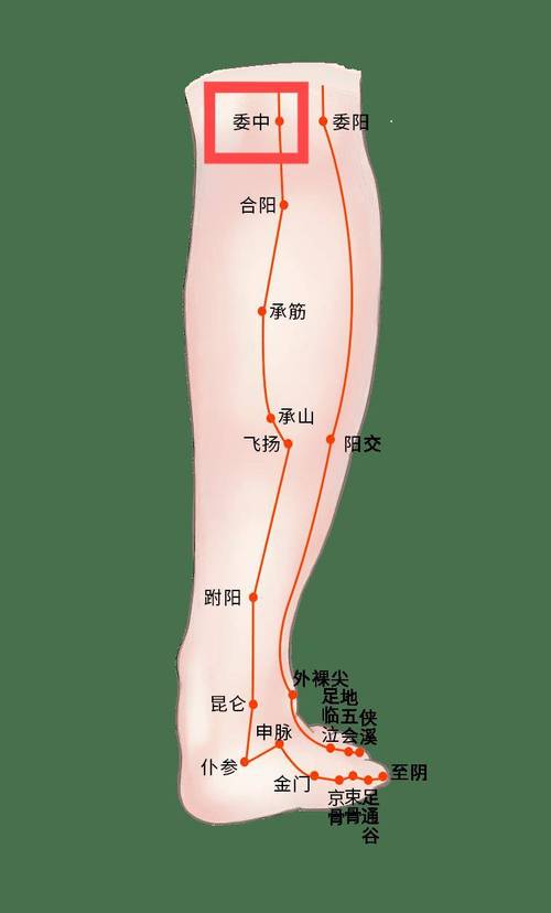 人体腿疼针灸穴位图