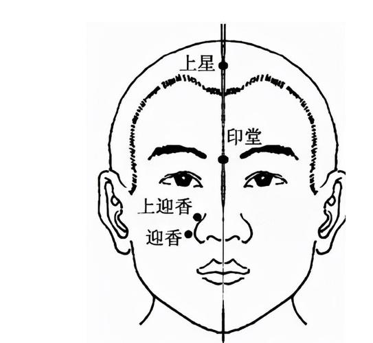 小儿迎香穴位位置图