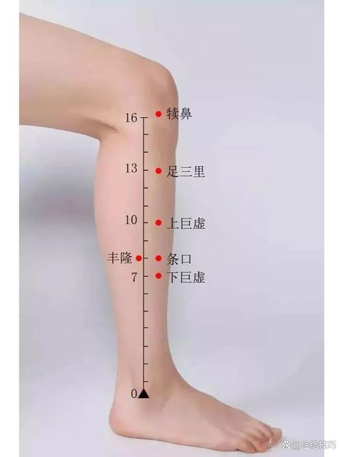 脾胃虚按摩哪些穴位