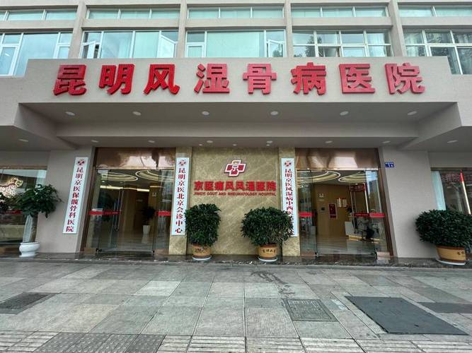 国内风湿病最好的医院