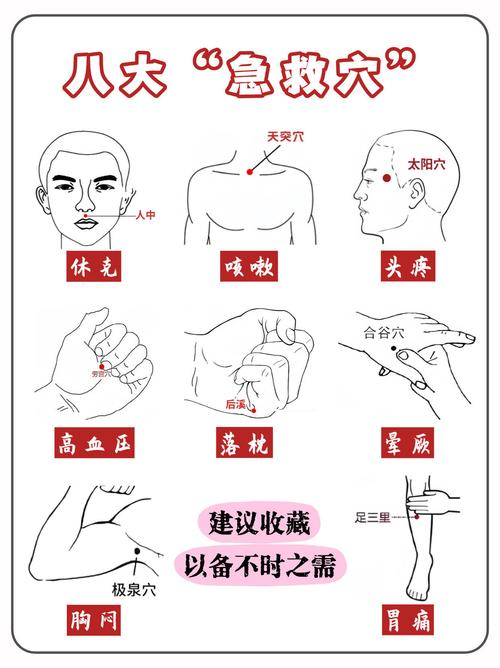急救有的穴位有哪些