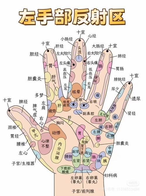 手背穴位治病反应图