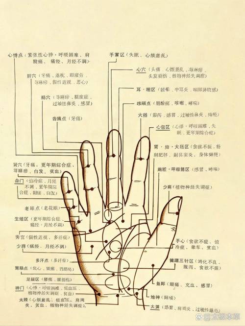 手背穴位治病反应图