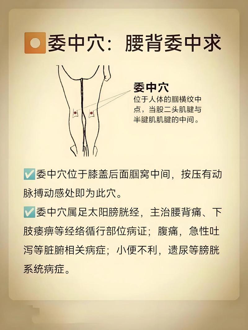 小便频数的穴位治疗