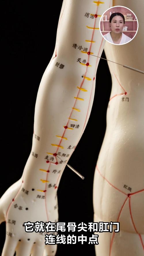 长强穴位在什么位置