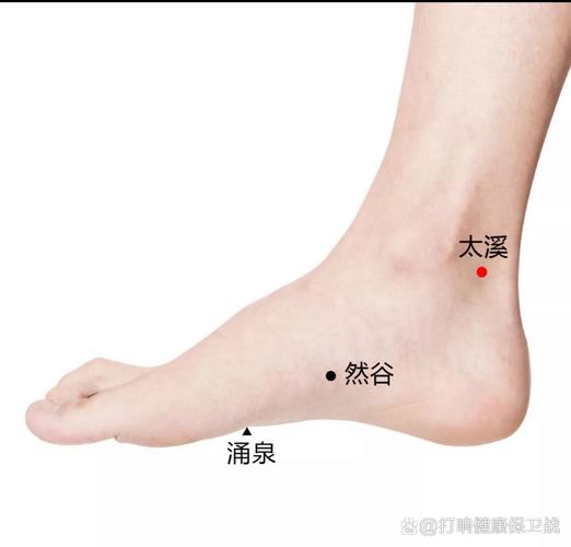 脚踝骨内侧下方穴位