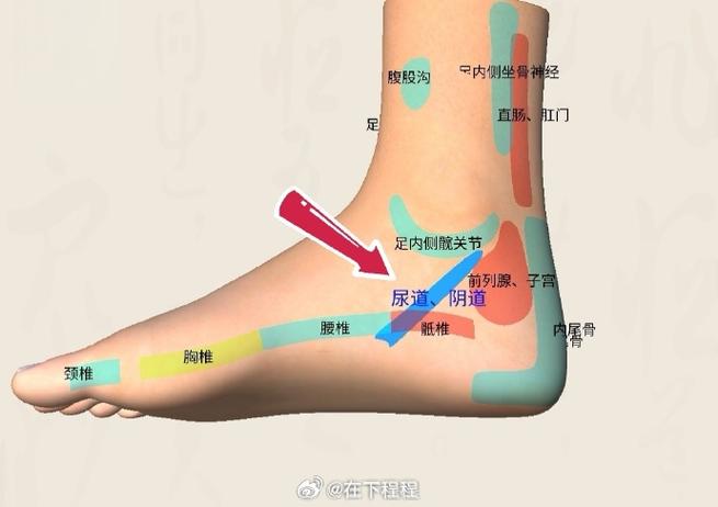 脚踝骨内侧下方穴位
