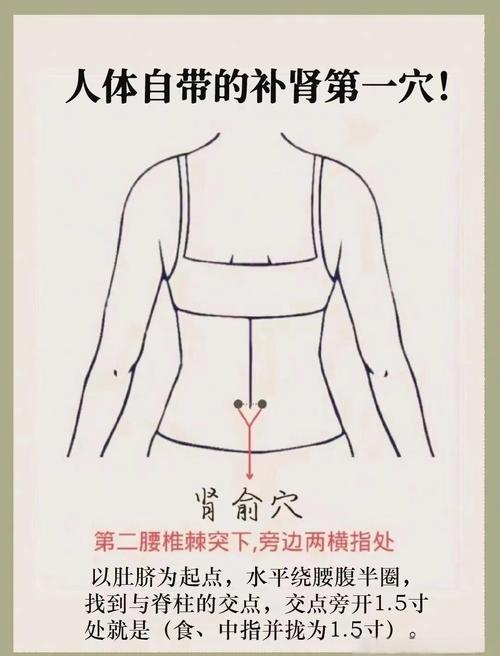 肾部保养按什么穴位