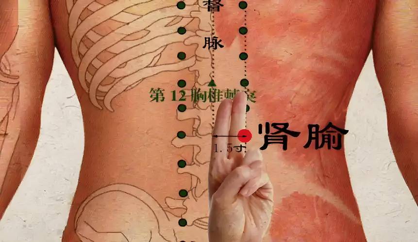 肾部保养按什么穴位