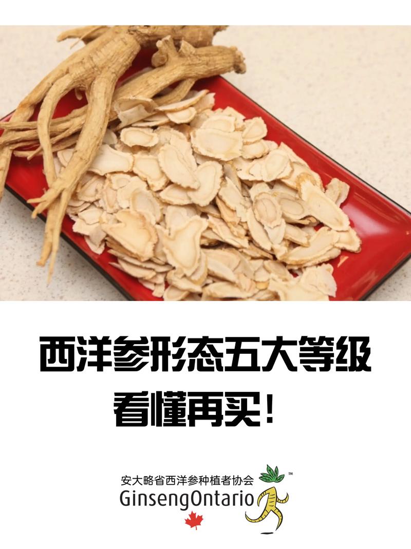 脑梗患者能吃西洋参吗