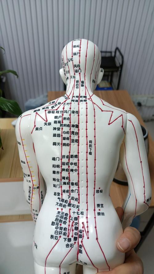 人体多少穴位和经脉