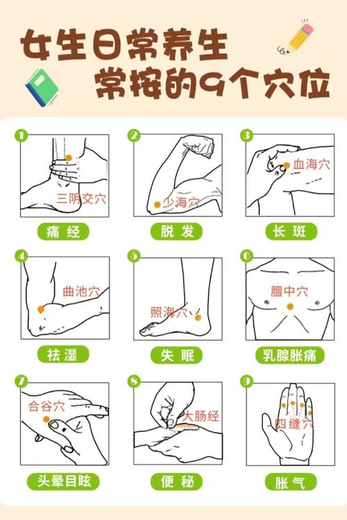 调节身体激素的穴位