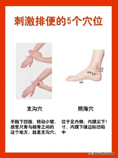 排便久艾灸那些穴位