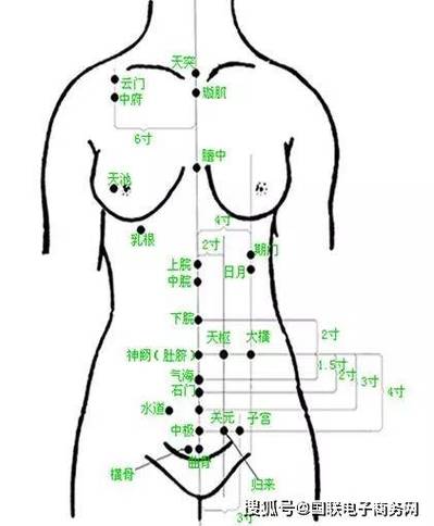 勃起按摩哪个穴位好