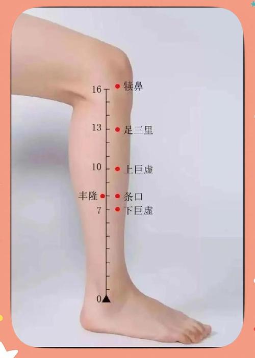 艾灸腿部水肿穴位图