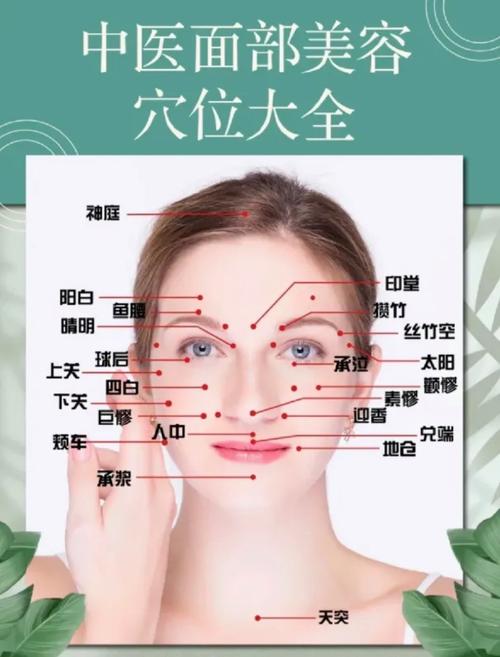 女性脸部按摩穴位图