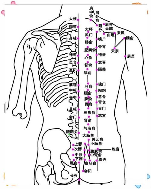 后背肩膀是什么穴位