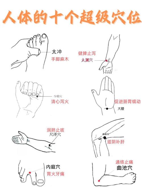 按摩什么穴位通肛门