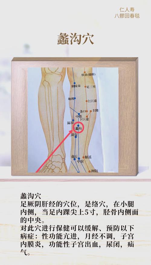 穴位密码网 蠡沟穴