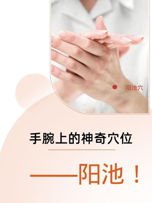 手腕部都有什么穴位