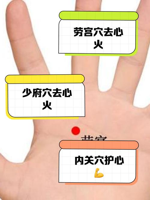 按摩哪个穴位清心火