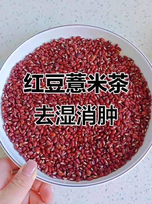 风湿可以吃红豆薏米吗