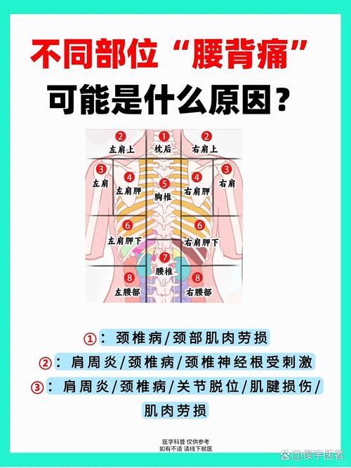 后背胸椎疼痛是风湿吗